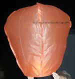 wunschballone-orange-1-medium.jpg